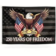 AUQ 250 Years of Freedom American Flag 3X5 Ft,250Th Anniversary Usa 1776-2026, Patriotic Eagle Design Banner