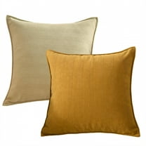 AUQ 2Pcs Decorative Pillow Covers No Pilling Pillow Covers 16X16 Easy Removal Throw Pillow Cover Colormixing1