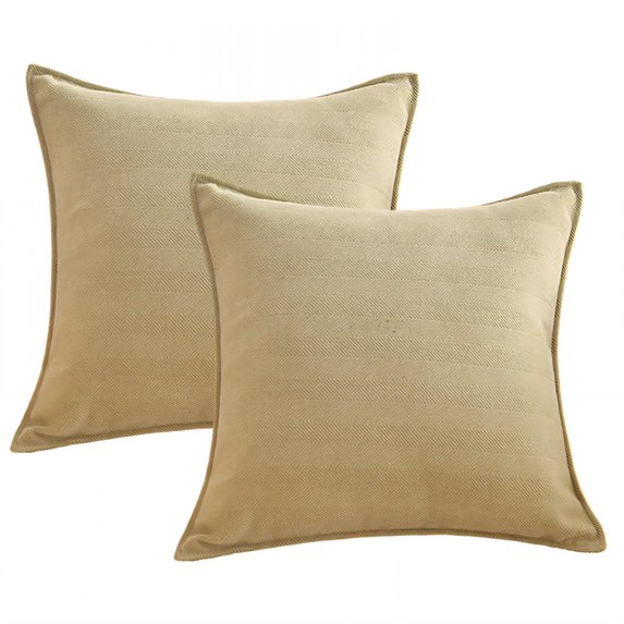 AUQ 2Pcs Decorative Pillow Covers Smooth Zipper Pillow Covers 16X16 Soft and Cozy Cushion Covers Style1