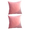 thumbnail image 1 of AUQ 2Pcs Pillow Covers Comfort Soft Dutch Velvet Pillow Protectors with Zipper Standard Size Bright Solid Color Pillow Case 18x18in,Pink, 1 of 4
