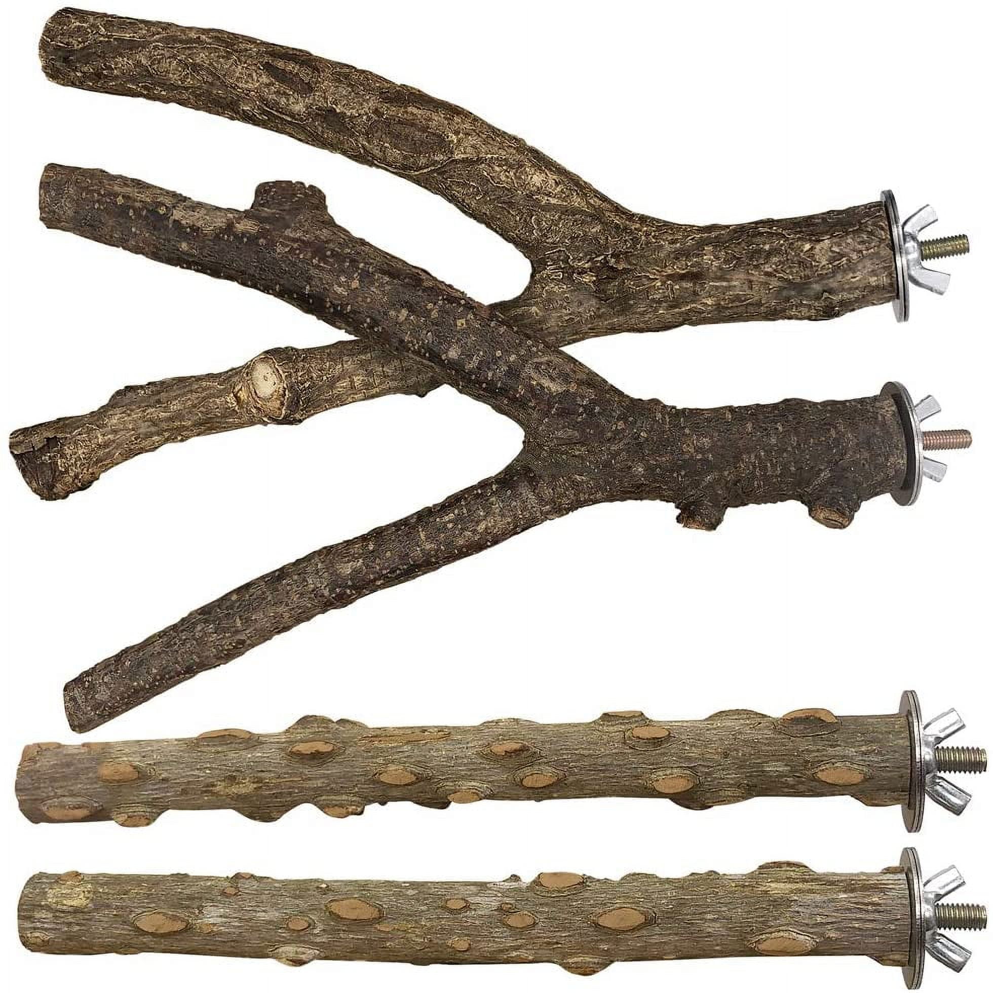 AUQ Bird Perch 4 PCS Natural Wood Stand Parakeet Toys Bird Cage Accessories for Parrots Conure Supplies Budgie Platform