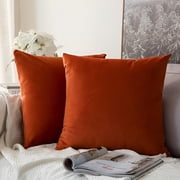 AUQ Pack of 2 Burnt Orange Velvet Throw Pillow Covers 16X16 Inch Soft Solid Decorative Square Set Fall Cushion Case for Couch Sofa Bedroom