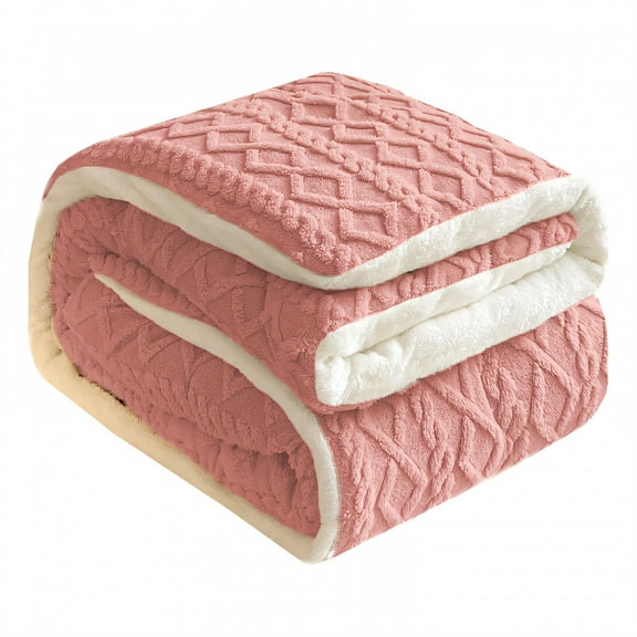 AUQ Throw Blanket,Lamb Wool Double Layer Bed Blankets,Enhanced Warm Lock Throw Blankets,Pink,40*60in