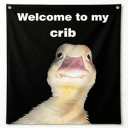 AUQ Welcome to My Crib Duck Flag 3X5 Ft Funny Tapestry Flags for Bedroom Room Guys College Dorm Cool Meme Flags Posters Banners for Room Man Cave Wall Art Posters Decor
