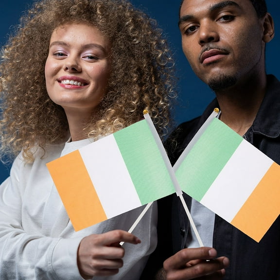 AURARMLET Indoor Flag Pole Kit with 120 White Flag Support Holders for Home and Office Display