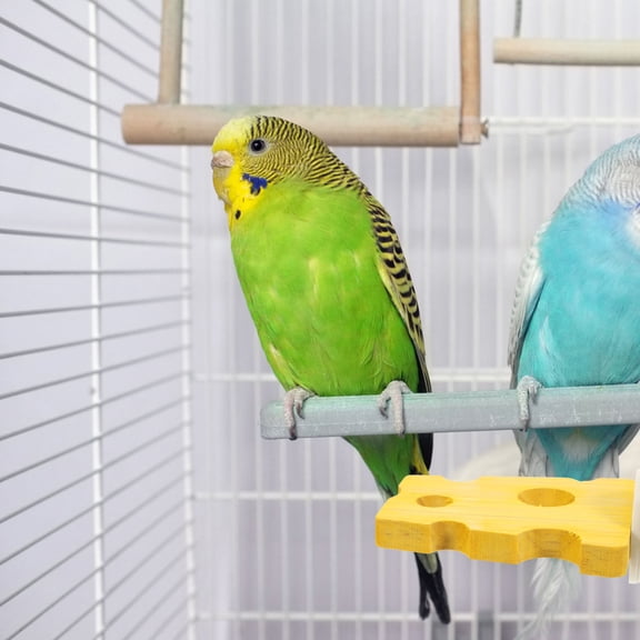 AURARMLET Solid Wood Parrot Perch Yellow for Pet Standing Use Ideal for Chewing and Exercise