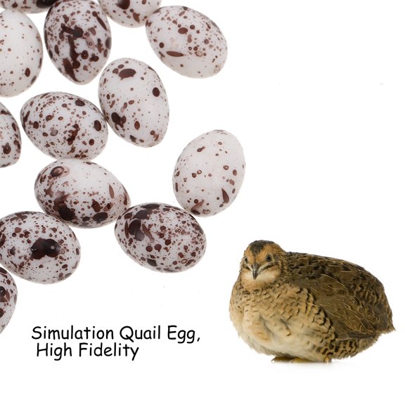 AURARMLET 20Pcs Quail Egg Mini Figurines Multi Plastic Home Decor Micro Landscape