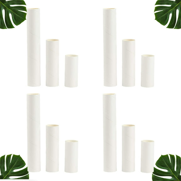 AURARMLET 24PCS Cylindrical Tubes for Paintings Shipping and Craft Projects