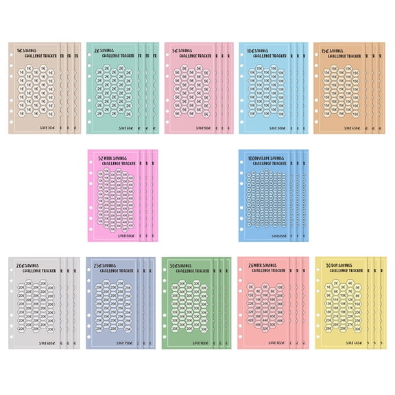 AURARMLET 48Pcs Saving Challenge Envelopes A6 Binder with Euro Check in Sheets Included