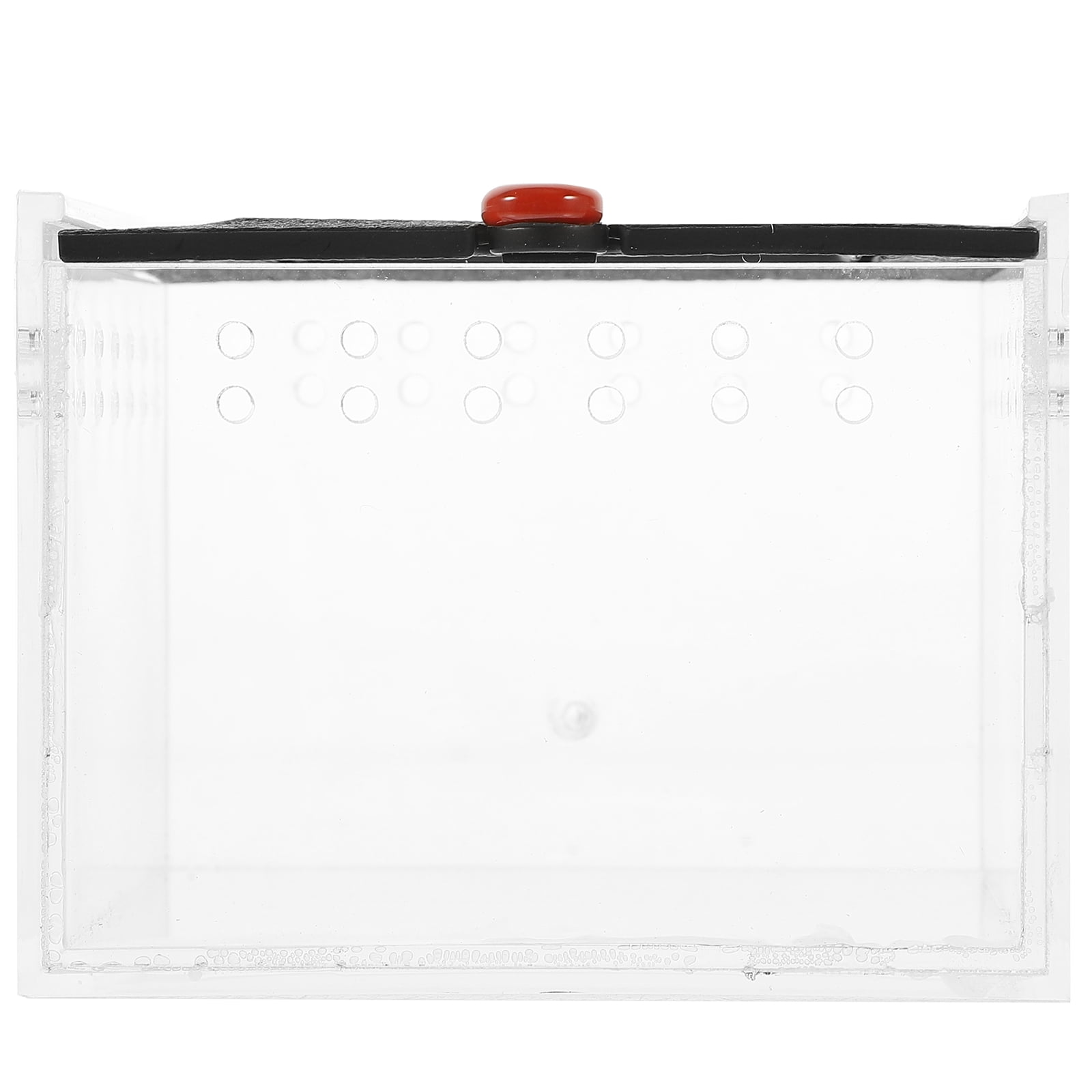 Image showcasing AURARMLET Acrylic Transparent Reptile Habitat Feeding Box with Designed ...