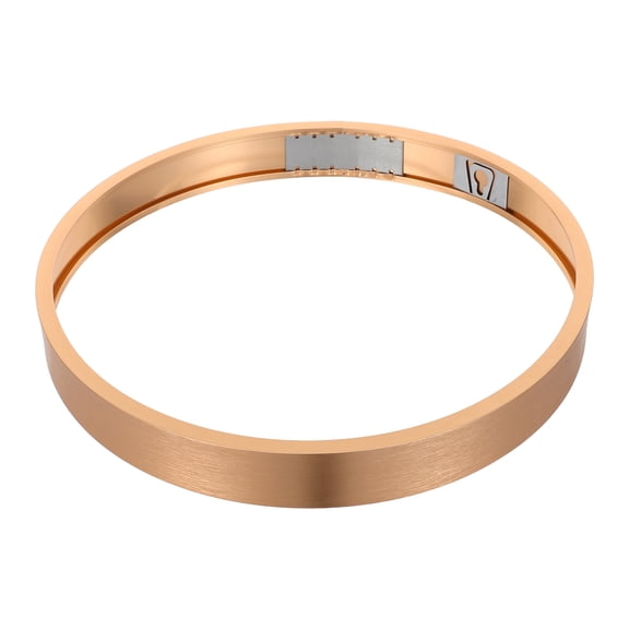 AURARMLET Aluminum Alloy Circular Wall Art Frame in Plated Gold for Crafting and Home Decoration