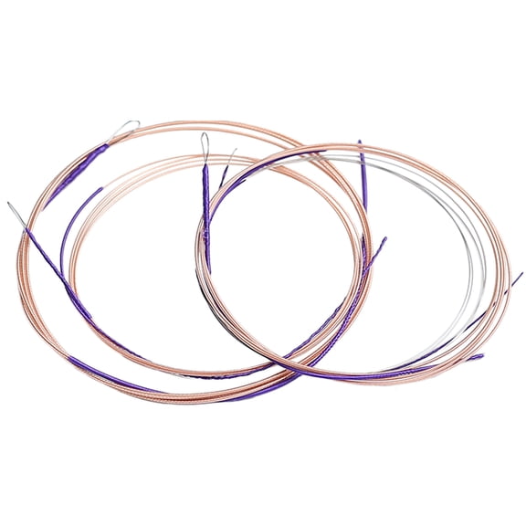 AURARMLET Pipa Strings Set 4 Pieces Sealed Packaging 38.5in Length Musical Instrument Strings