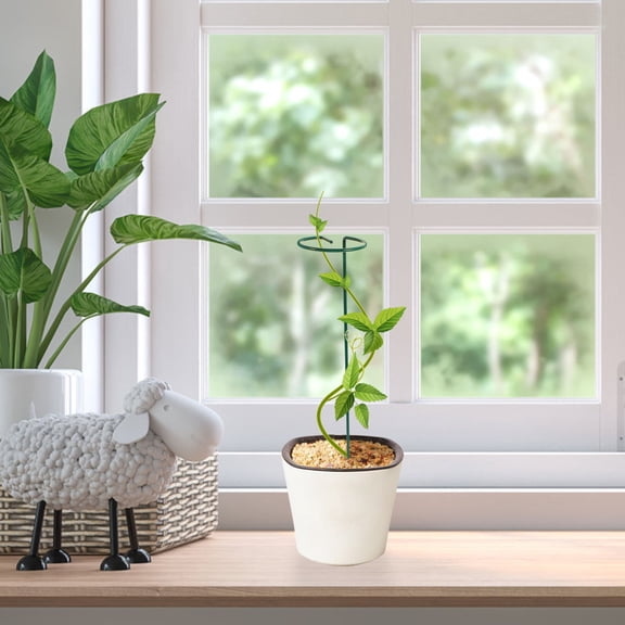 AURARMLET Indoor Metal Plant Support Trellis for Climbing Vines Protects Stems from Breaking