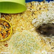 AURARMLET Hamster Paper Bedding Shavings, Small Animal Cage Liner Nesting Material for Gerbil Pet Mouse Guinea Pig, 1 Set