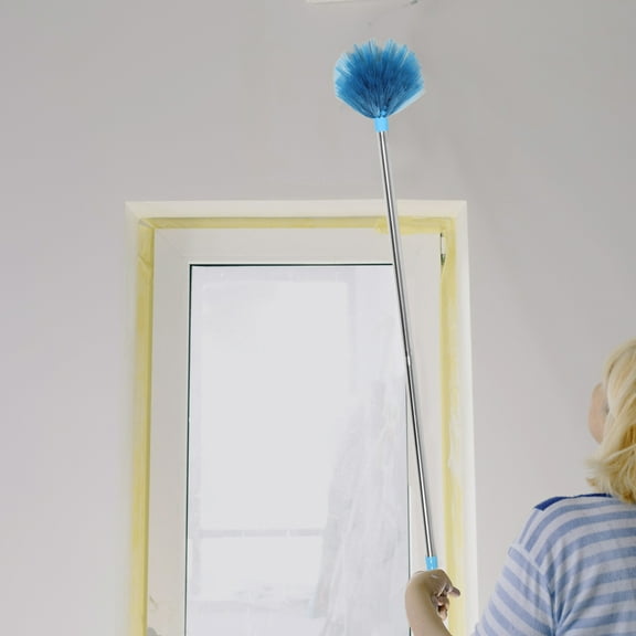 AURARMLET Spider Web Duster Brush for Building Maintenance, Plastic Web Cleaning Tool, 1 Set