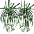 thumbnail image 1 of AURORA TRADE 1Pc Chlorophytum Comosum Faux Greenery Home Hotel Decor Artificial Spider Plant, 1 of 2