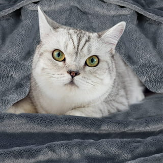 Cat Throw Blanket