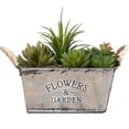 thumbnail image 1 of AURORA TRADE Rustic Small Metal Succulent Plant Container Bucket with 'Flowers & Garden' Quote and Twine Handles, 1 of 6