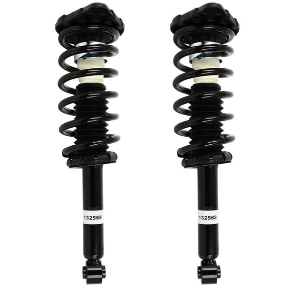AUTOMUTO Rear Pair Complete Struts Spring Assembly Shock Absorber Compatible with 2002-2006 for Nissan Sentra Struts 171359