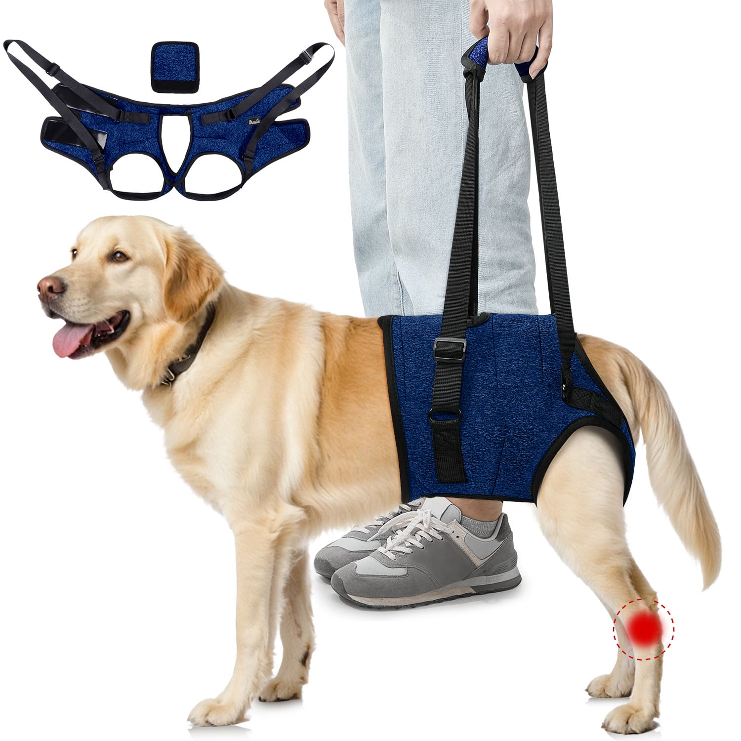 AUTOWT Dog Lift Harness - Hind Leg Support for Medium and Large Dogs, Adjustable Lift Aid for Elderly, Injured, or Arthritic Pets Recovering from Surgery or Mobility Issues