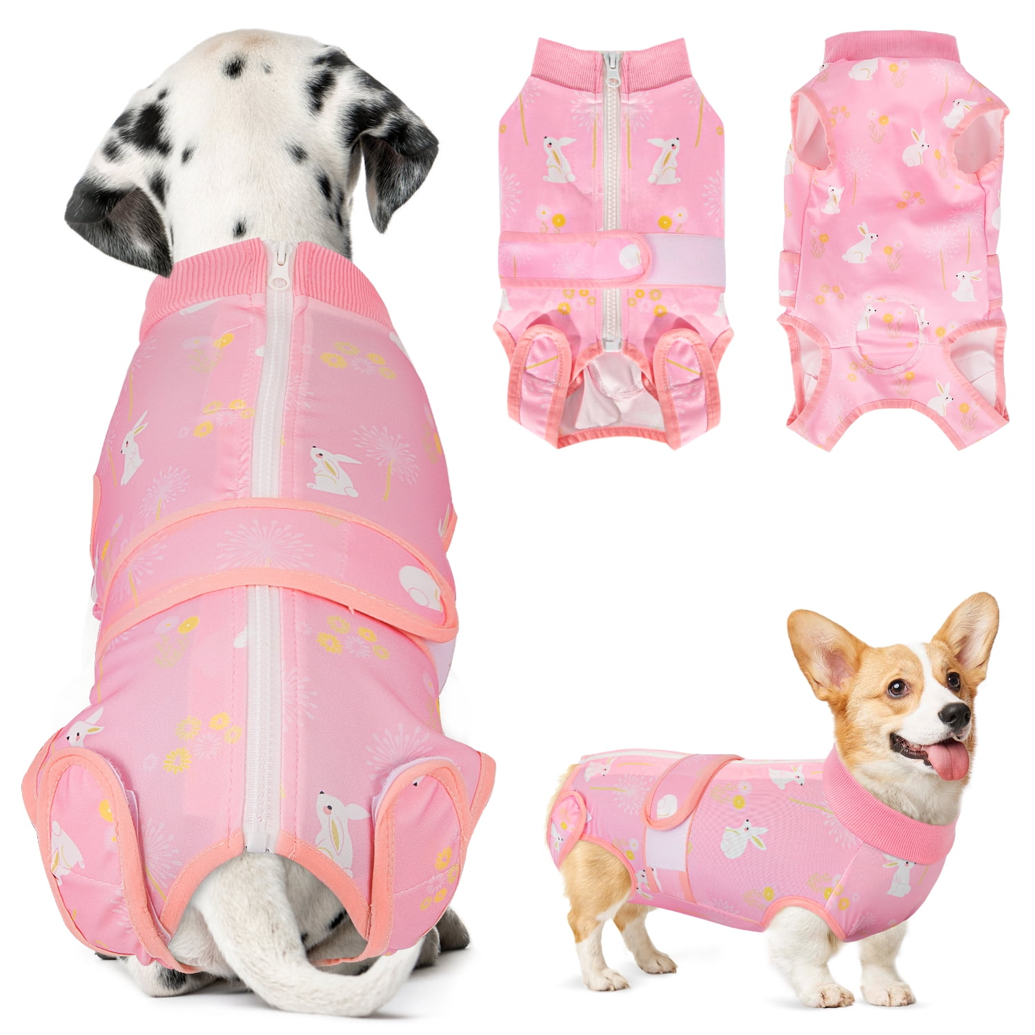 Alternative to cone after spay discount