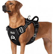 AUTOWT No Pull Dog Harness, Heavy Duty No Choke Pet Harness with 2 Leash Clips and Easy Control Vertical Handle, Adjustable Soft Padded Dog Vest for Small, Medium and Large Dogs