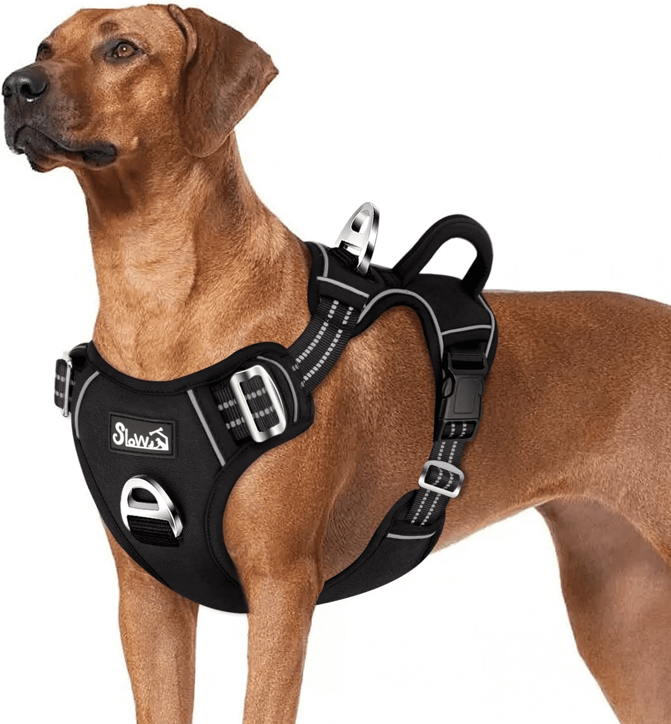 AUTOWT No Pull Dog Harness - Heavy Duty, No Choke Design with 2 Leash Clips & Adjustable Padded Vest