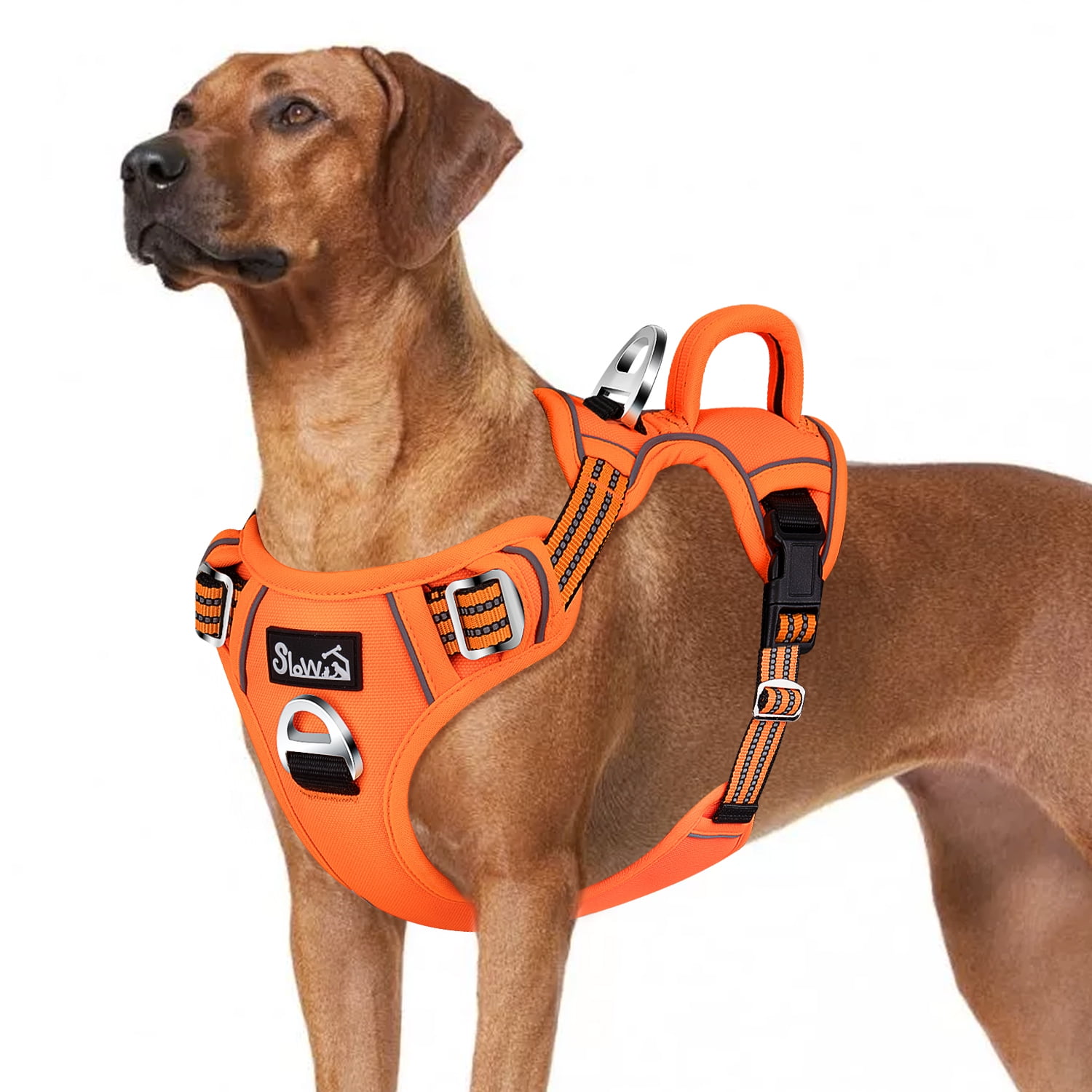 AUTOWT No Pull Dog Harness - Heavy Duty, No Choke Design with 2 Leash Clips & Adjustable Padded Vest