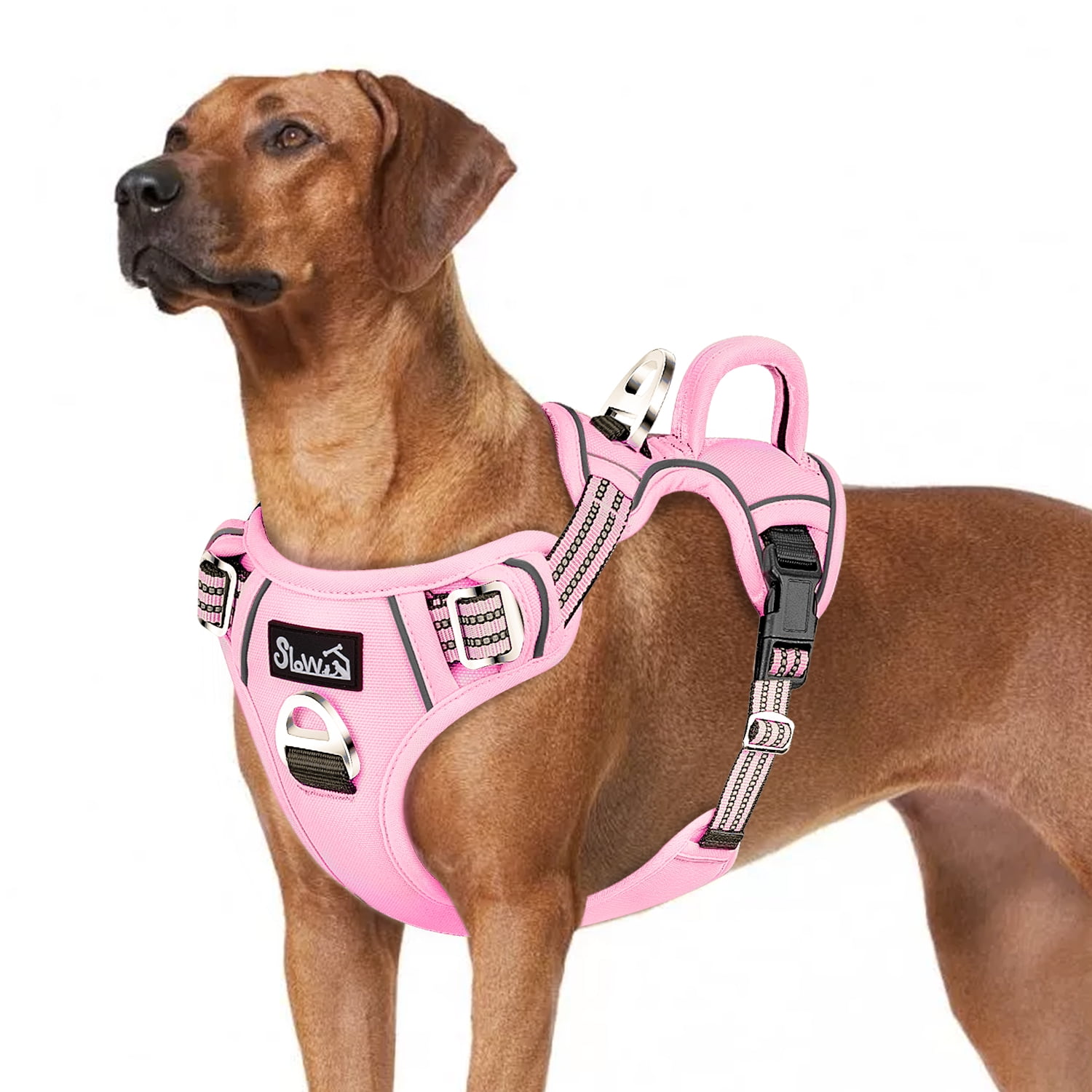 AUTOWT No Pull Dog Harness - Heavy Duty, No Choke Design with 2 Leash Clips & Adjustable Padded Vest