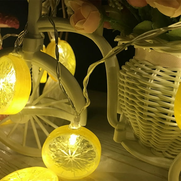 AUTUMN Lemon String Lights, LED Plug in Lemon String Lights, Warm White Fairy Lights for Birthday Party Wedding Bedroom Kitchen Garden Home Decoration (Yellow)