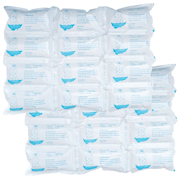 AUZPFRUM Dry Ice Packs for Shipping Frozen Food & Perishables - 2 Sheets(12 Pack Large Ice Cells per Sheet) | Long-Lasting Cold Reusable Freezer Packs for Coolers, Lunch Bags & Insulated Boxes