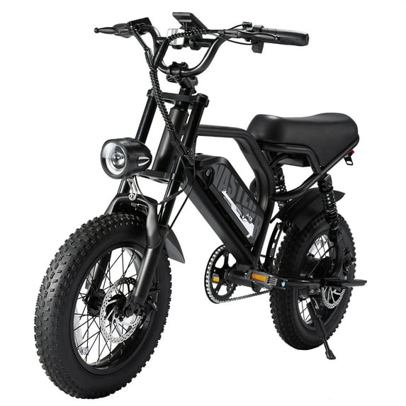 AVDL Electric Bike,16" Fat Tire Ebike,500W Motor,48V 12Ah Removable Battery,4x Suspension,38 Miles Pure Electric,55 Miles Pedal