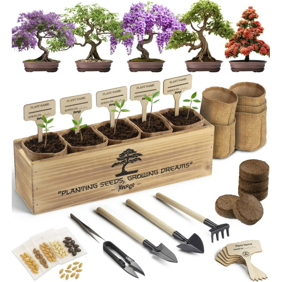 AVERGO Bonsai Tree Kit - 5X MVR1Unique Japanese Bonzai Trees | Complete Indoor Starter Kit for Growing Bonsai Plants with Tools & Planters - Gardening Gifts for Women & Men