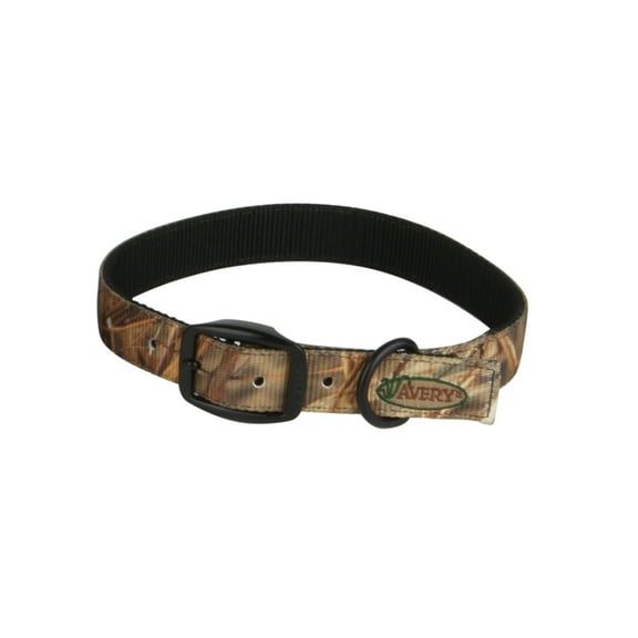 Standard Dog Collar