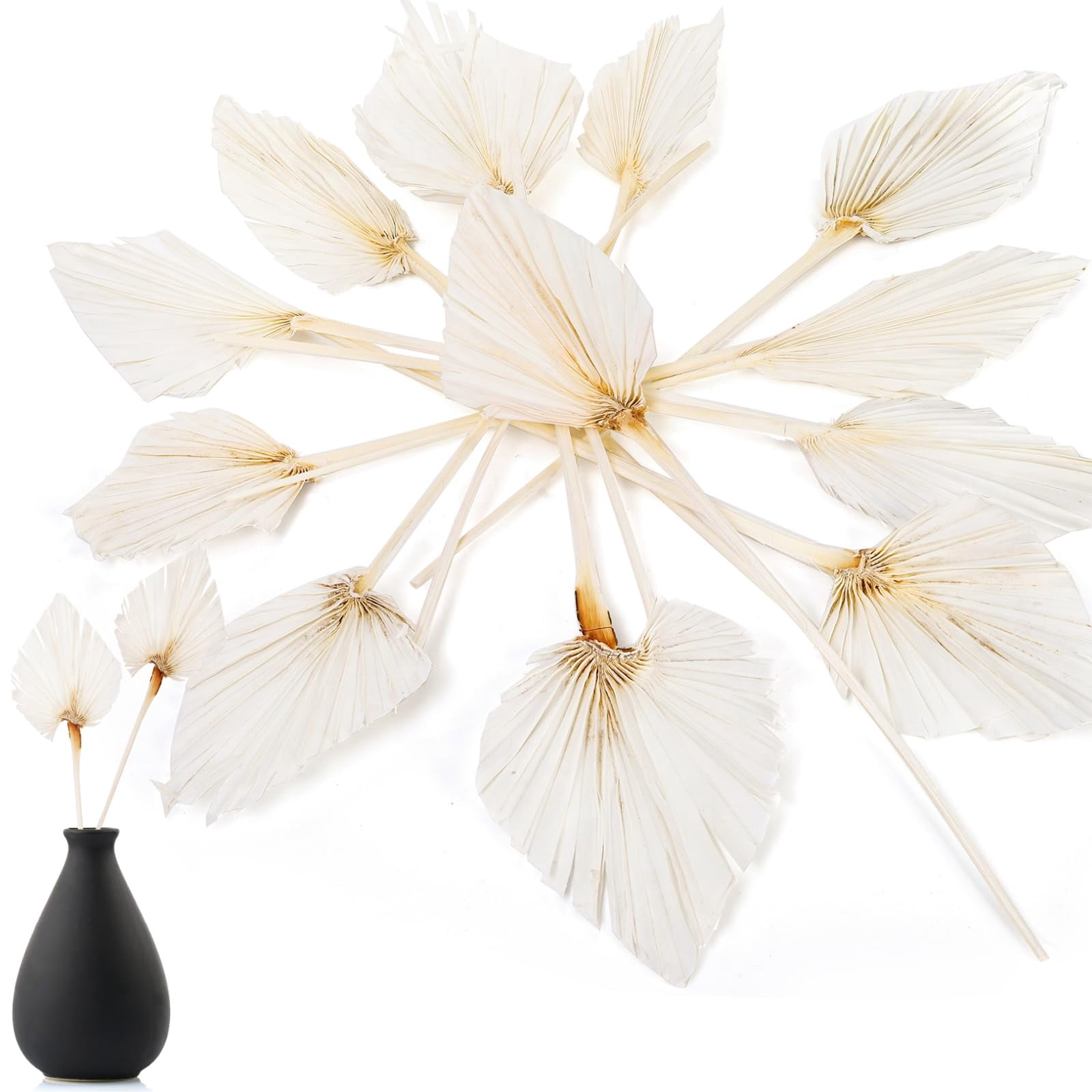 AVLA 12 PackEGSC Boho Dried Palm Leaves, Tropical Leaf Decor with Stem