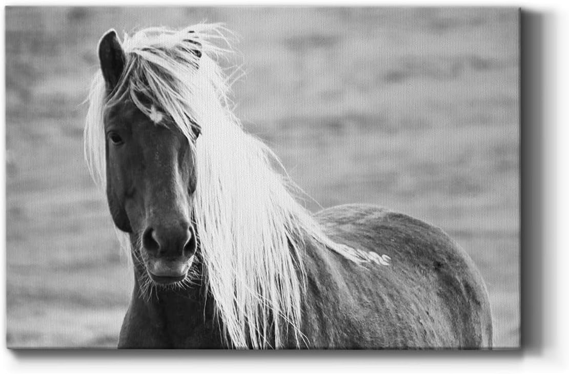 AVOI Animal Canvas Wall Art for Living Room Bathroom Bedroom Kitchen