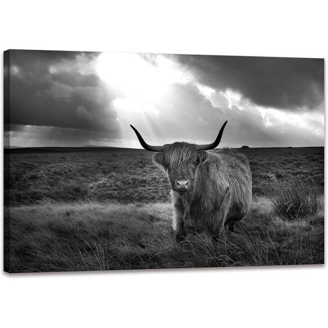 AVOI Black and White Highland Cow Wall Art Decor Prints Poster Animal