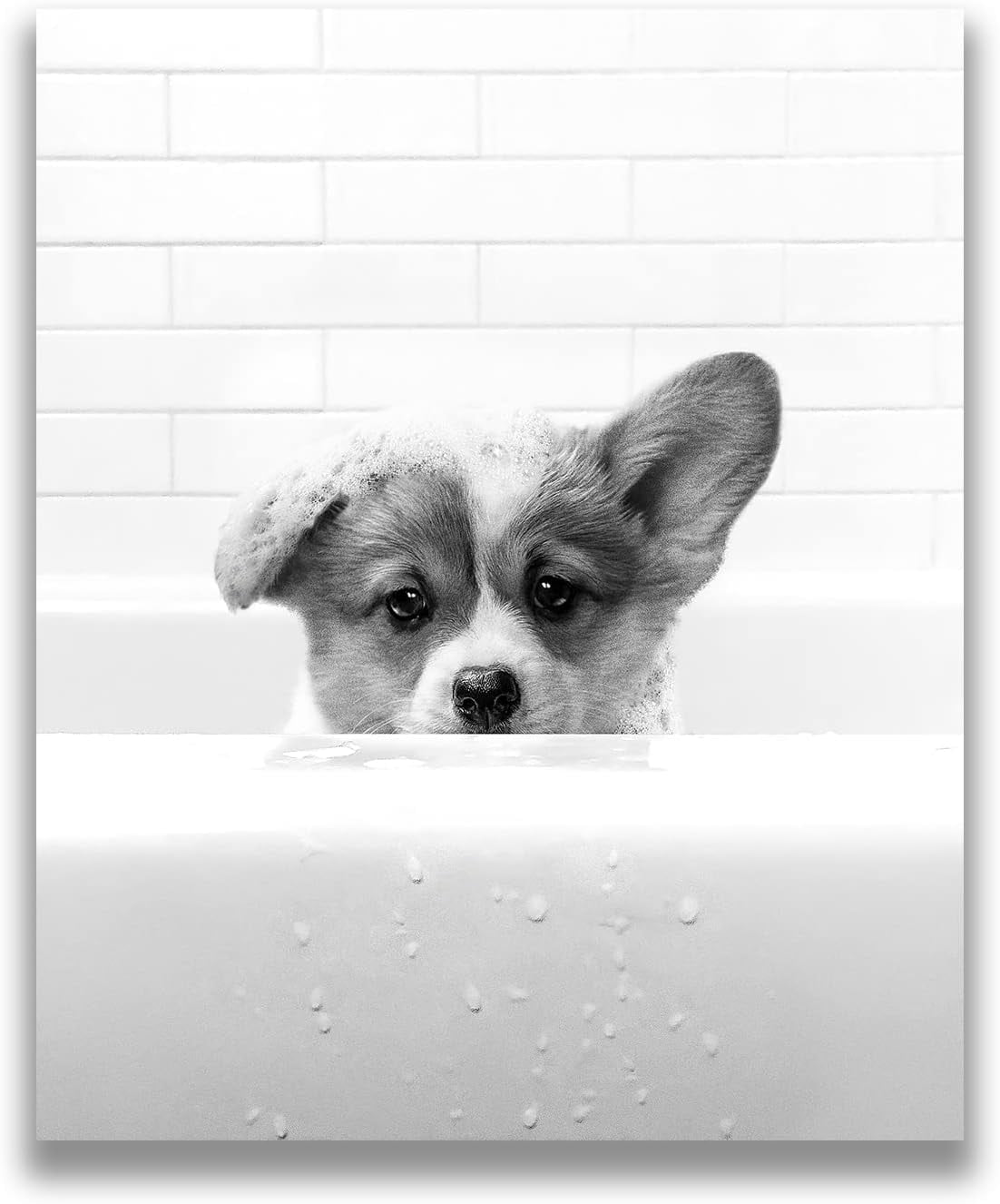 AVOI Dog Bathroom Decor Wall Art Dog In Bathtub Funny Bathroom Wall Art Animal Poster Print on ...