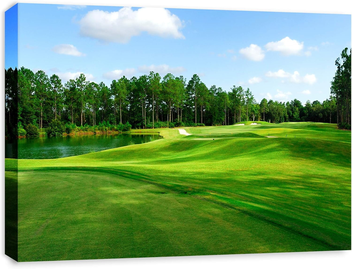 AVOI Fleming Island Florida Golf Course Unframed Canvas Print Home