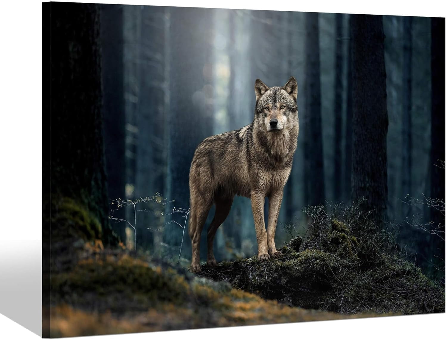 AVOI Forest Wolf Canvas Wall Art-Wolf Family Sit on the Snowfield Painting Wild Animals Winter Forest Artwork Picture for Children Rooms Office Kitchen Unframe: 24x20inch(60x50cm)