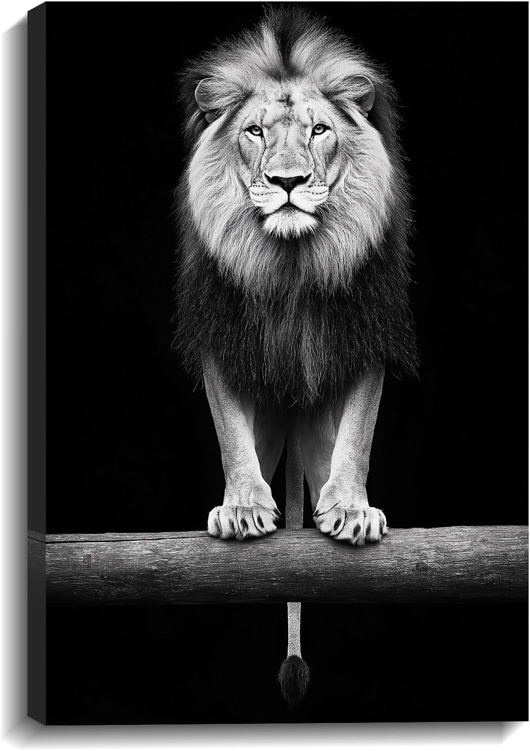 AVOI Lion Wall Art Black and White Canvas Prints Lion Decor Wild Animal ...