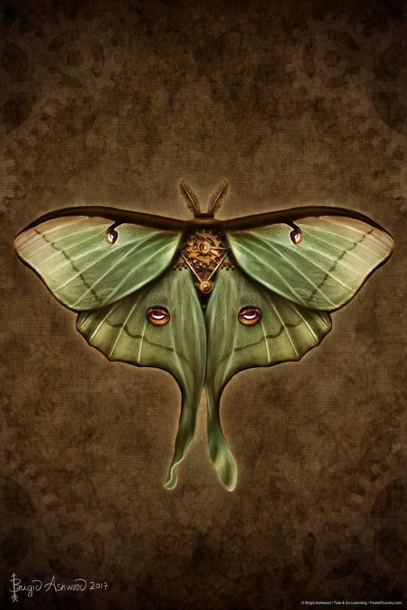 AVOI Steampunk Luna Moth Poster by Brigid Ashwood Butterfly Wall Decor ...