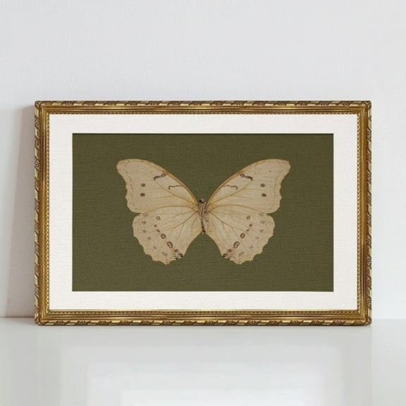 AVOI Vintage Gold Wall Art, Classical White Butterfly Paintings, Dark Moody Green Canvas Prints Artwork with Antique Picture , Victorian Wall Decor for Gallery Living Room Frame: 12x16in