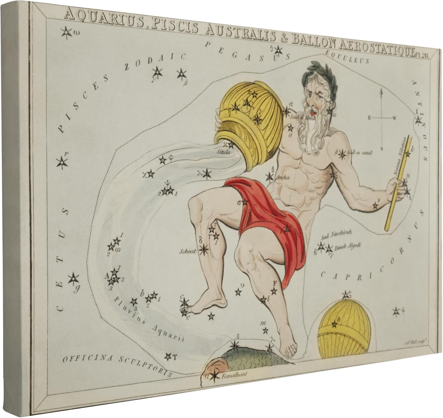 AVOI Whelhung Canvas Aquarius Poster-Vintage Astrology Wall Art ...