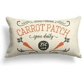 thumbnail image 1 of AVOIN colorlife Easter Locally Grown Carrot Patch Pillow Cover Decorative Throw Pillowcase, 18 x 18 inch White Rustic Spring Seasonal Square Cushion Protector for Sofa Couch Home Decor, 1 of 6