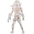 thumbnail image 1 of AVP Alien vs. Predator 2 Wolf Predator Action Figure (Invisible), 1 of 2
