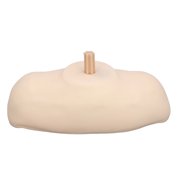 AVPAVP Large Mannequin Head Shoulder Stand Display Support Holder with Top Plug for Professional Hairdressing Styling Wig Display and Practice Accessories
