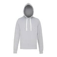 thumbnail image 1 of AWDis Just Hoods Mens Chunky Pullover Hoodie, 1 of 3