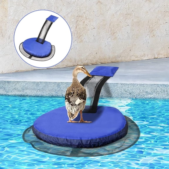 AWINQQY Animal Rescue Ramps for Swimming Pool, One Piece