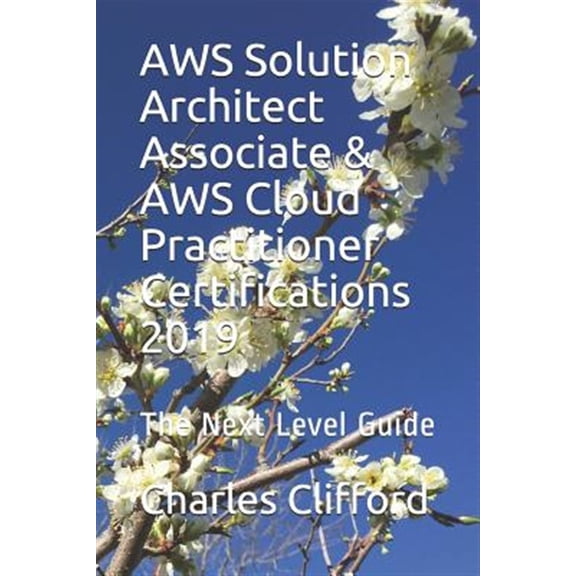 Pre-Owned AWS Solution Architect Associate & AWS Cloud Practitioner Certifications 2019: The Next Level Guide